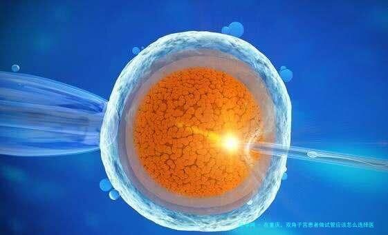 在重庆，双角子宫患者做试管应该怎么选择医院？这几家机构技术与口碑兼具