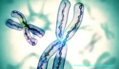 哈尔滨单身试管选哪家？三家实力医院深度对比与费用、冻卵指南全解析