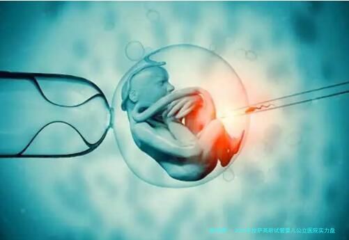 2026年拉萨高龄试管婴儿公立医院实力盘点：西藏自治区人民医院、拉萨市人民医院等机构深度解析附本地生殖医生推荐