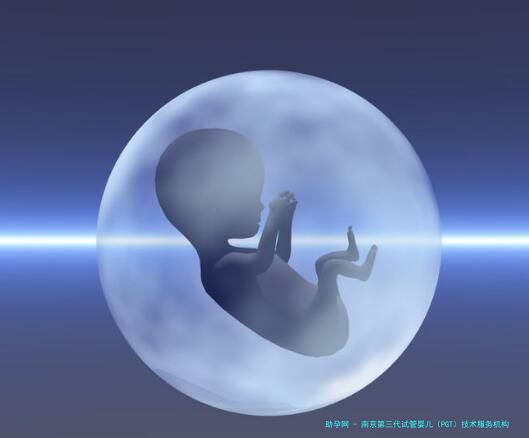 南京第三代试管婴儿（PGT）技术服务机构全解析：附本地知名机构技术与服务深度对比