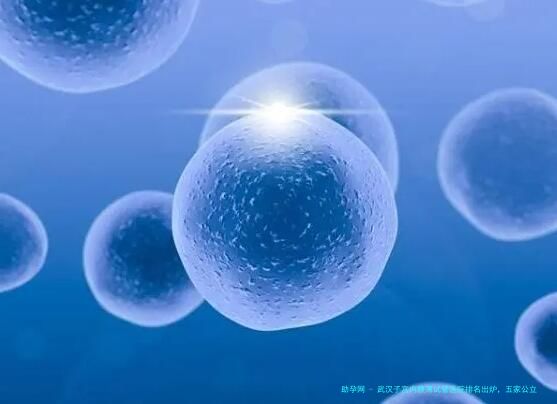 武汉子宫内膜薄试管医院排名出炉，五家公立医院特色技术及费用全览