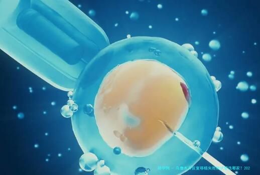 乌鲁木齐反复移植失败做试管选哪家？2026年本地5家生殖中心实力与口碑解析