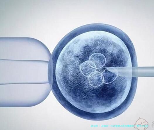 石家庄一代试管婴儿医院哪家好？费用与技术详解，盘点本地前三口碑医院