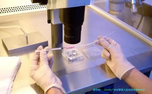 2026年广州试管婴儿医院排名榜单出炉：中山一院、广医三院等公立三甲领衔，附试管费用与医生解析
