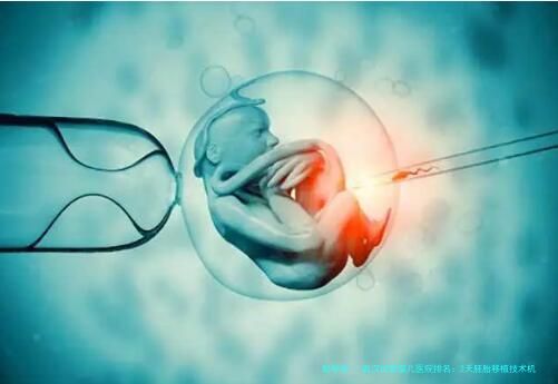 武汉试管婴儿医院排名：3天胚胎移植技术机构对比与本地口碑医生推荐