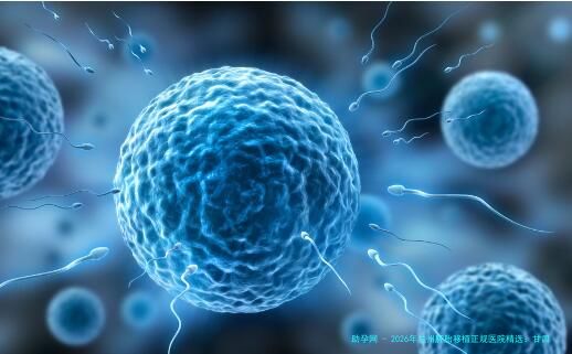 2026年兰州胚胎移植正规医院精选：甘肃省妇幼保健院、兰州大学医院等公立三甲领衔附7天移植周期指南