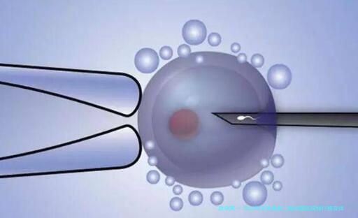 2026年沈阳高龄二胎试管医院排行榜及详细对比指南