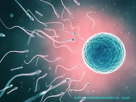 在庄河做试管生混血宝宝要多少钱，合法途径、全部费用与流程详解