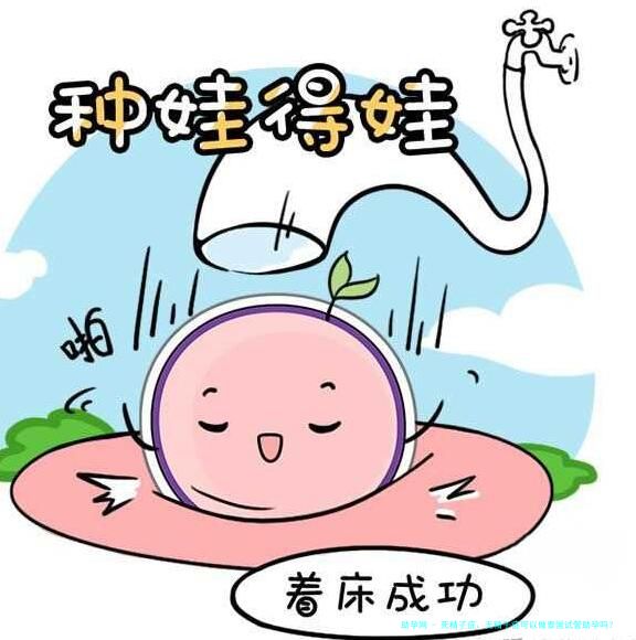 死精子症、无精子症可以做泰国试管助孕吗？