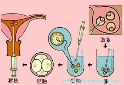 2026年西安三代试管婴儿私份医院怎么选？看完这篇不迷茫