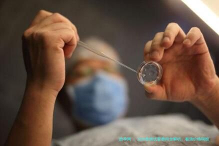 2026泰国试管费用全解析：看清价格明细，助孕过程更放心