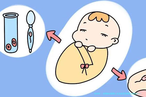 泰国做试管婴儿生混血宝宝费用大概是多少？