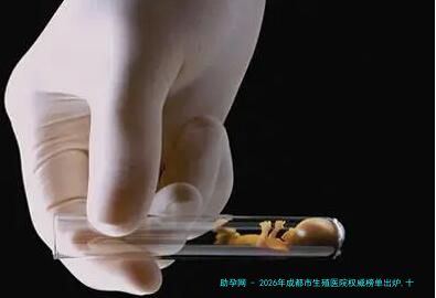 2026年成都市生殖医院权威榜单出炉,十大顶级机构揭晓!