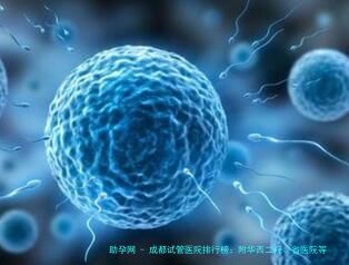 成都试管医院排行榜：附华西二院、省医院等4家生殖中心技术实力与费用解析，助您科学备孕