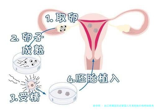 右江附属医院试管婴儿生双胞胎价格明细表有吗？