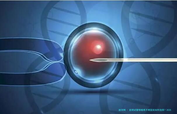 昆明试管移植疼不疼医院如何选择？2025年新疼痛管理解析、医院技术对比及舒适体验指南