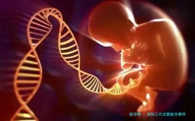 深圳三代试管助孕费用