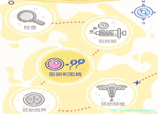 2026年美国有名气的试管婴儿医院推荐