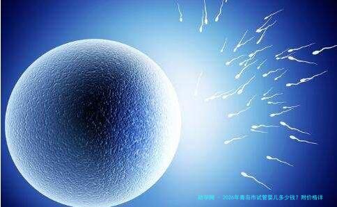 2026年青岛市试管婴儿多少钱？附价格详情