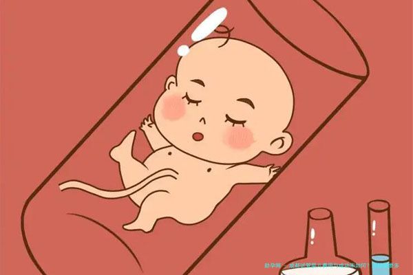 成都试管婴儿费用与成功率如何？流程需要多久？