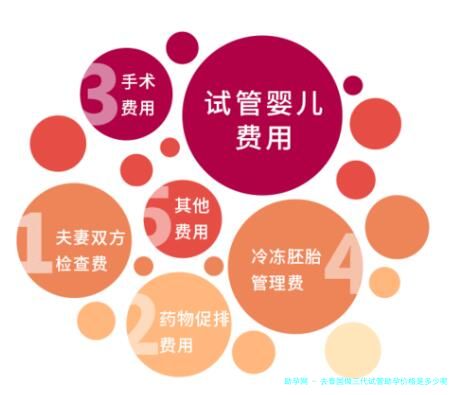 去泰国做三代试管助孕价格是多少呢