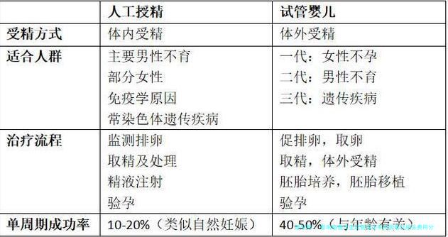 影响格鲁吉亚试管成功率的因素及相关费用分析