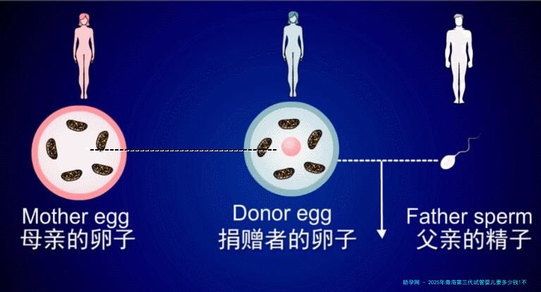 2025年青海第三代试管婴儿要多少钱!不要错过了这篇!