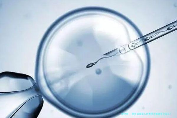 国外试管婴儿的费用大概是多少美元？