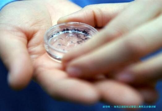 珠海正规医院试管婴儿费用及步骤详解