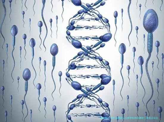 哈尔滨哪家公立助孕机构口碑好？黑龙江公立助孕机构如何选择？