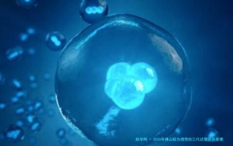 2026年佛山较为理想的三代试管医院是哪三家？佛山试管成功几率高的医院